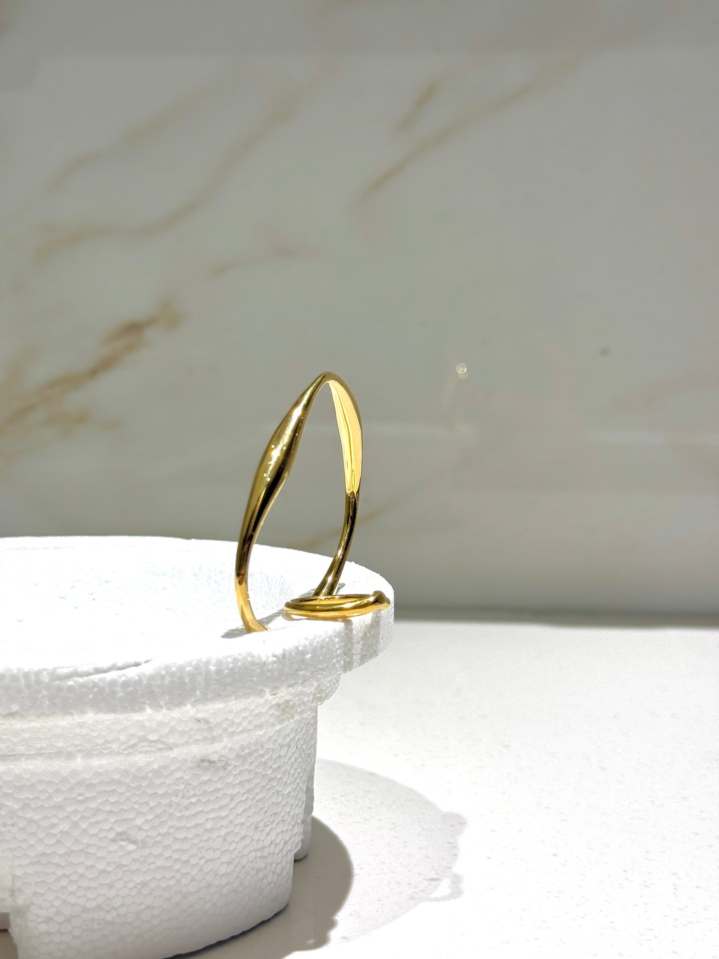 The Curve Wave Set